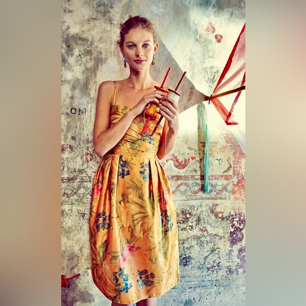Anthropologie James Coviello Botanica Jacquard Dress w Pleated Bodice ZB6